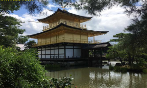 全球热门目的地：探索日本京都的古老韵味与现代魅力